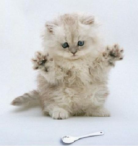 Гульсина Ражапова