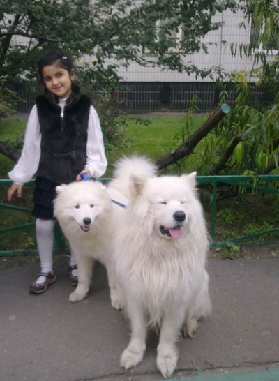 Севинч Садыхова