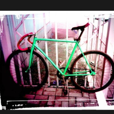 Денис Шадура