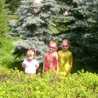 Диана Дроздова