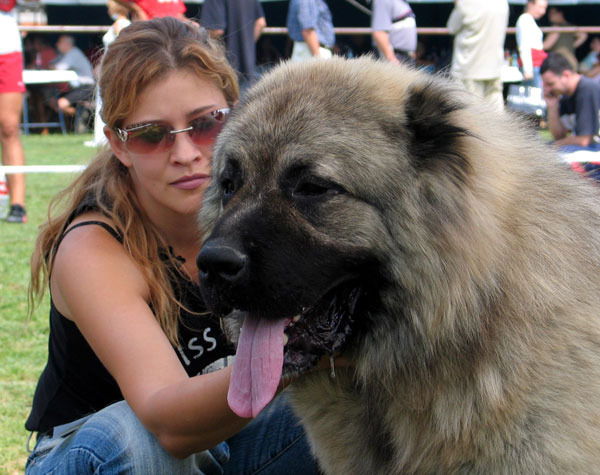 Полина Симич