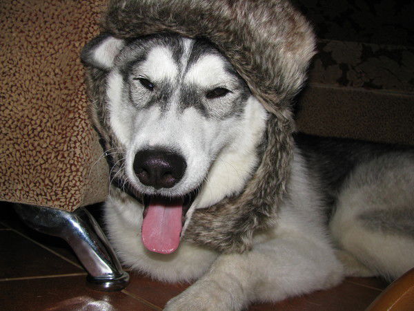 Захарова Анна