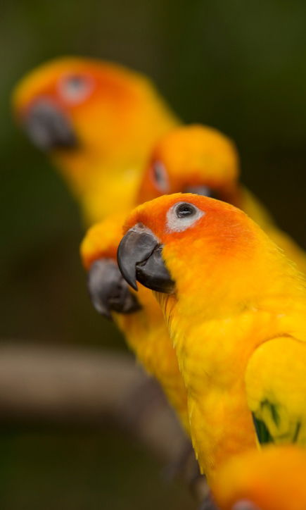 Акмал Садыков