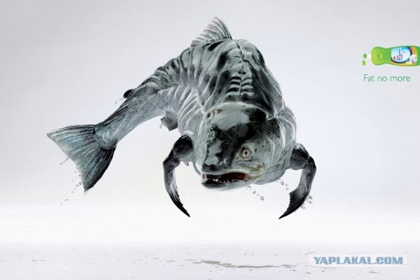 Пахан Рулит