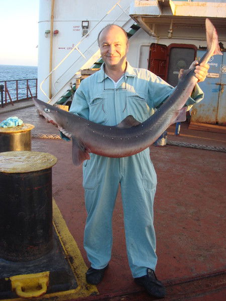 Александр Денисюк