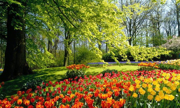 Лейла Джавадова