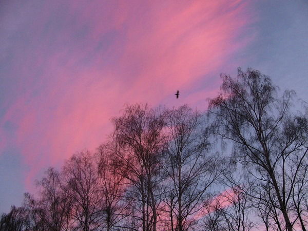 Елена Мазур