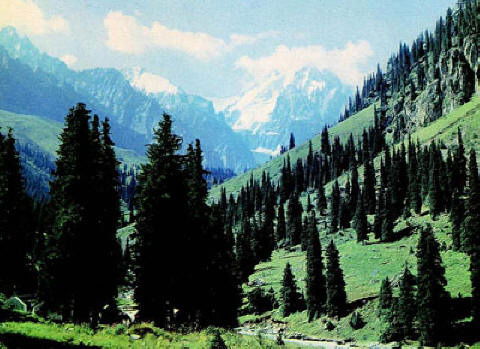 Бауыржан Тасымов