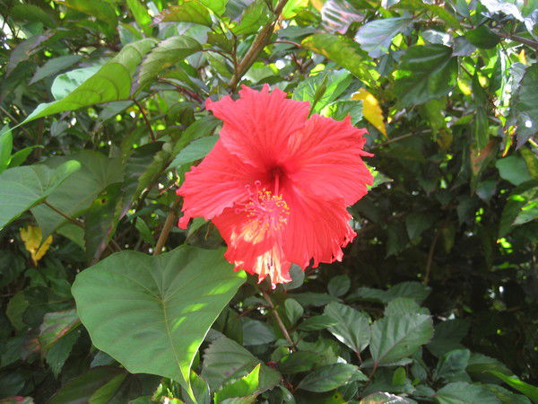 Екатерина Нуруллина