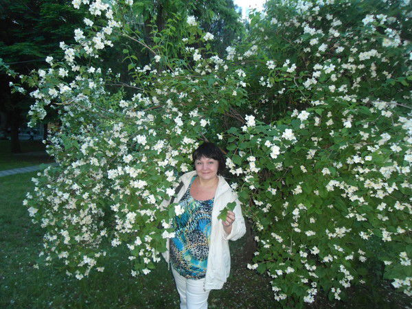 Елена Судакова