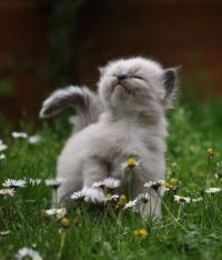 Наталья Петрова