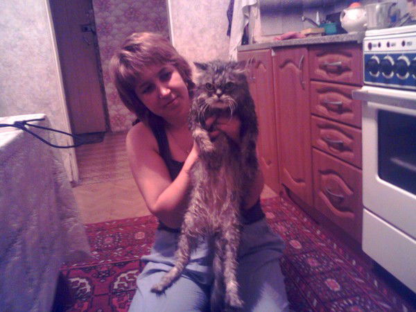 Елена Клюжева