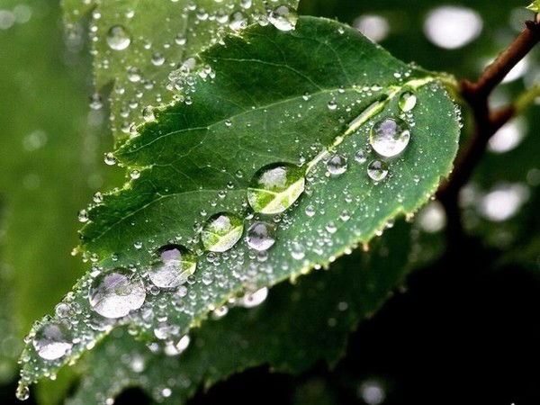 Виктория Глушко