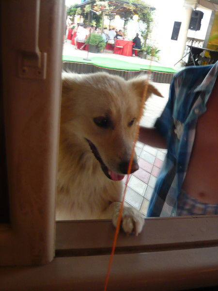 Владимир Емельянов