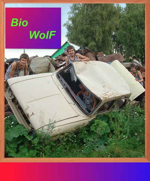 Иван Бороздин