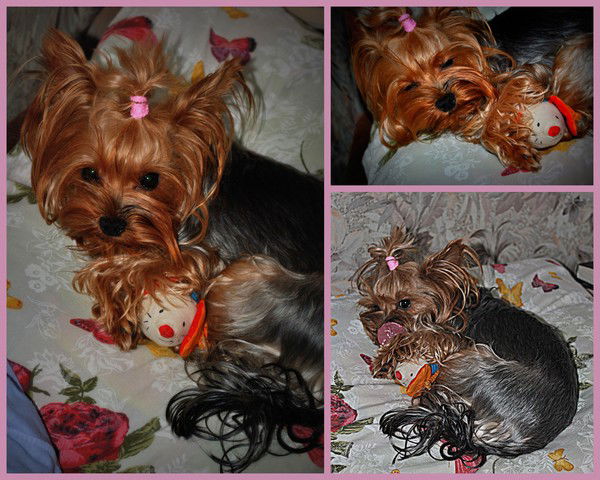 Катя Логинова