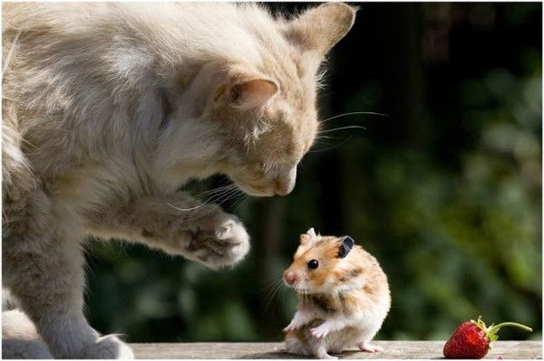 Жанна Н.......