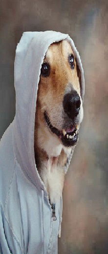 Илья Микрюков