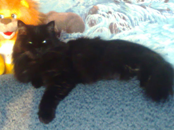 Людмила Пуртова