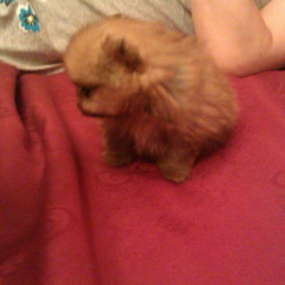 Вова Давыдов