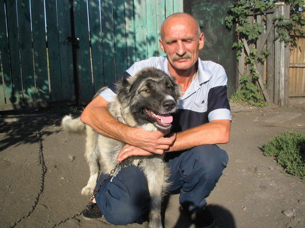 Вячеслав Титаренко