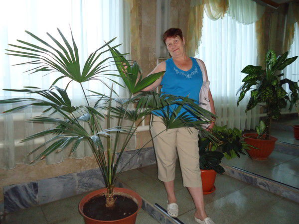 Зинаида Лосенкова