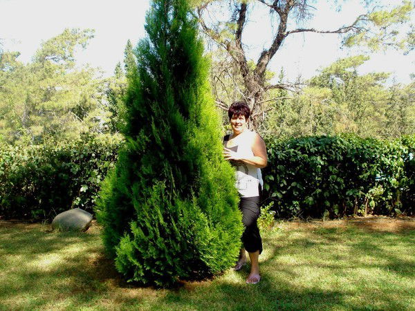 Татьяна Александрова