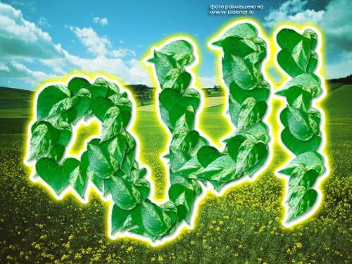 Жанибек Нуржанов