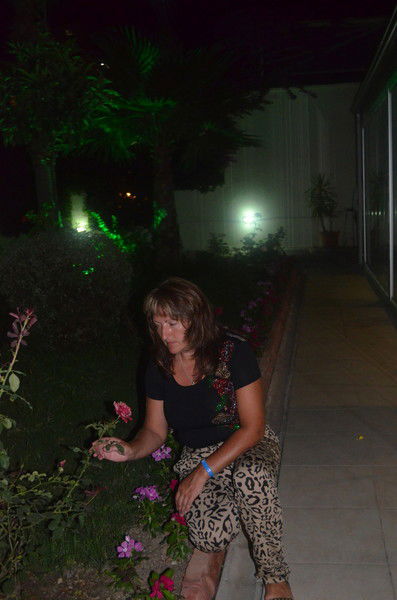 Елена Кожина