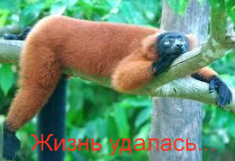 Есен Кшибеков