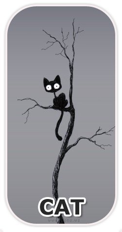 Дмитрий Сидоренко