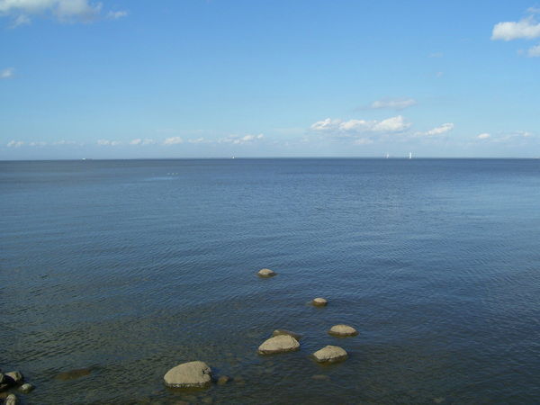 Ольга Бачурина