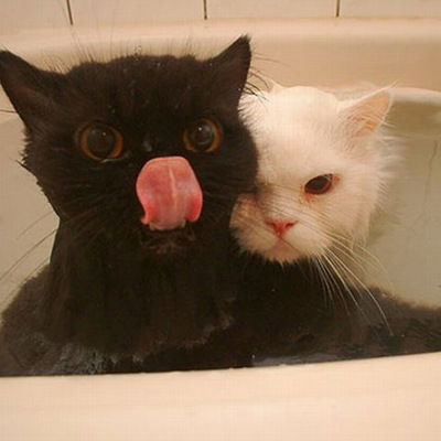 Karina Mukharlyamova