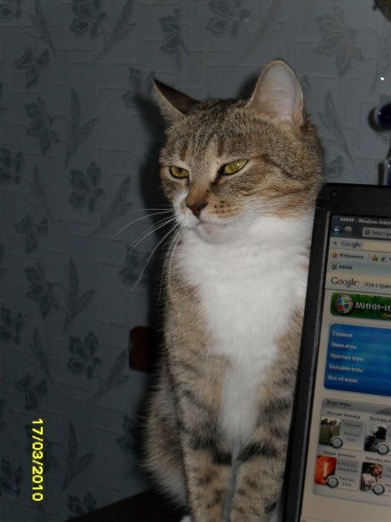 Алла Мохова