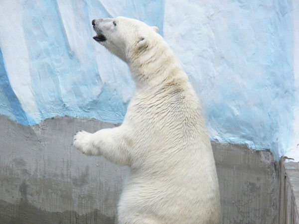 Алексей Юдаков