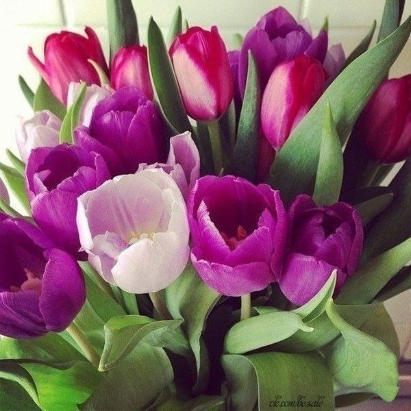 Юкоф Рнииот