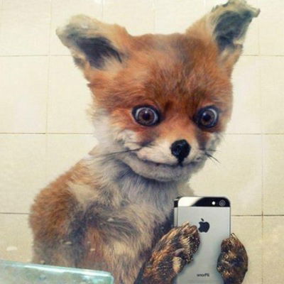 Ярослав Быстрицкий