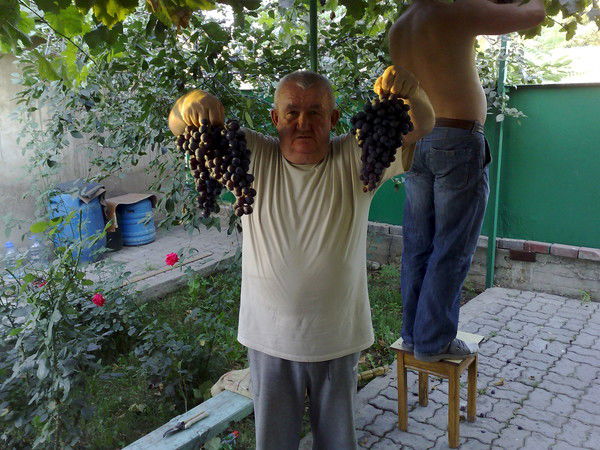 Владимир Калинин