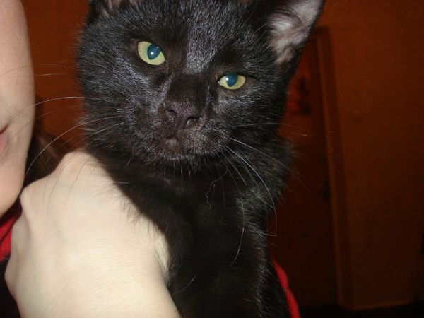 Валентина Бабушкина