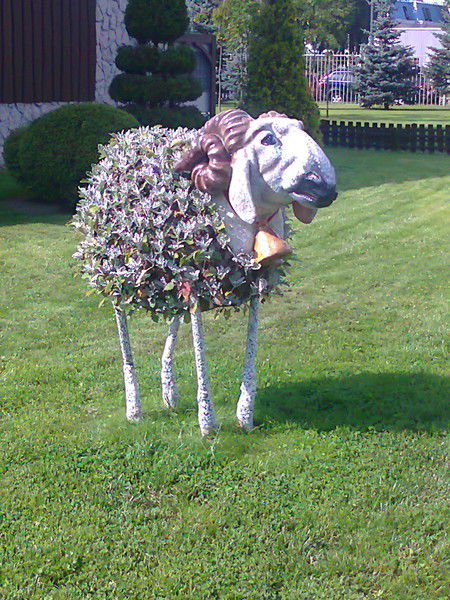 Татьяна Рожина