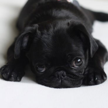 Наташа Родионова