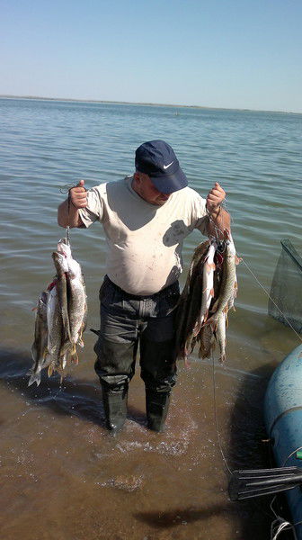 Владимир Юткин