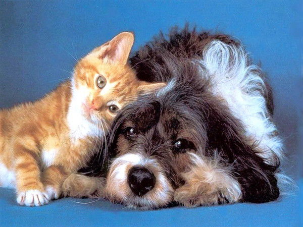 Александра Неизвестно