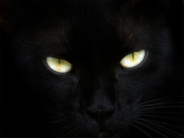 Настасья Никифоровна Подкопчук