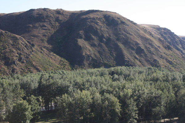 Сунгат Сейтханов