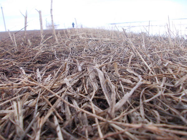 Ахат Байгазин