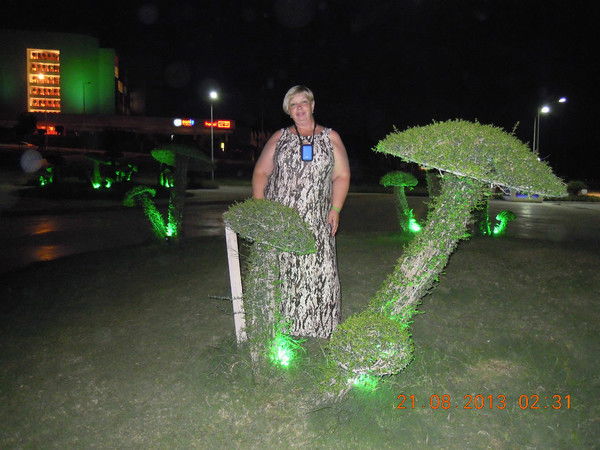 Татьяна Николаева