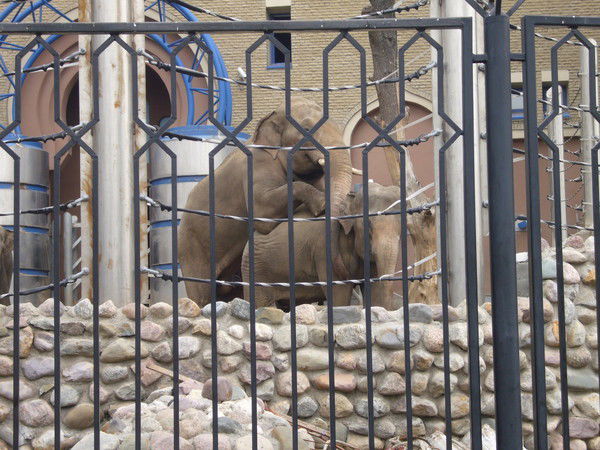 Андрей Савинов