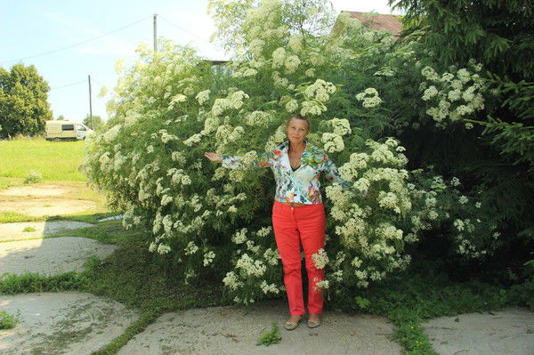 Людмила Гайдук