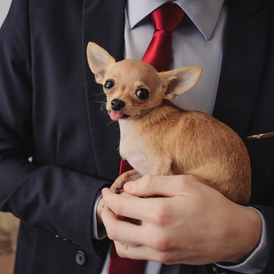 Валера Коренько